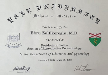 Op. Dr. Ebru Zülfikaroğlu